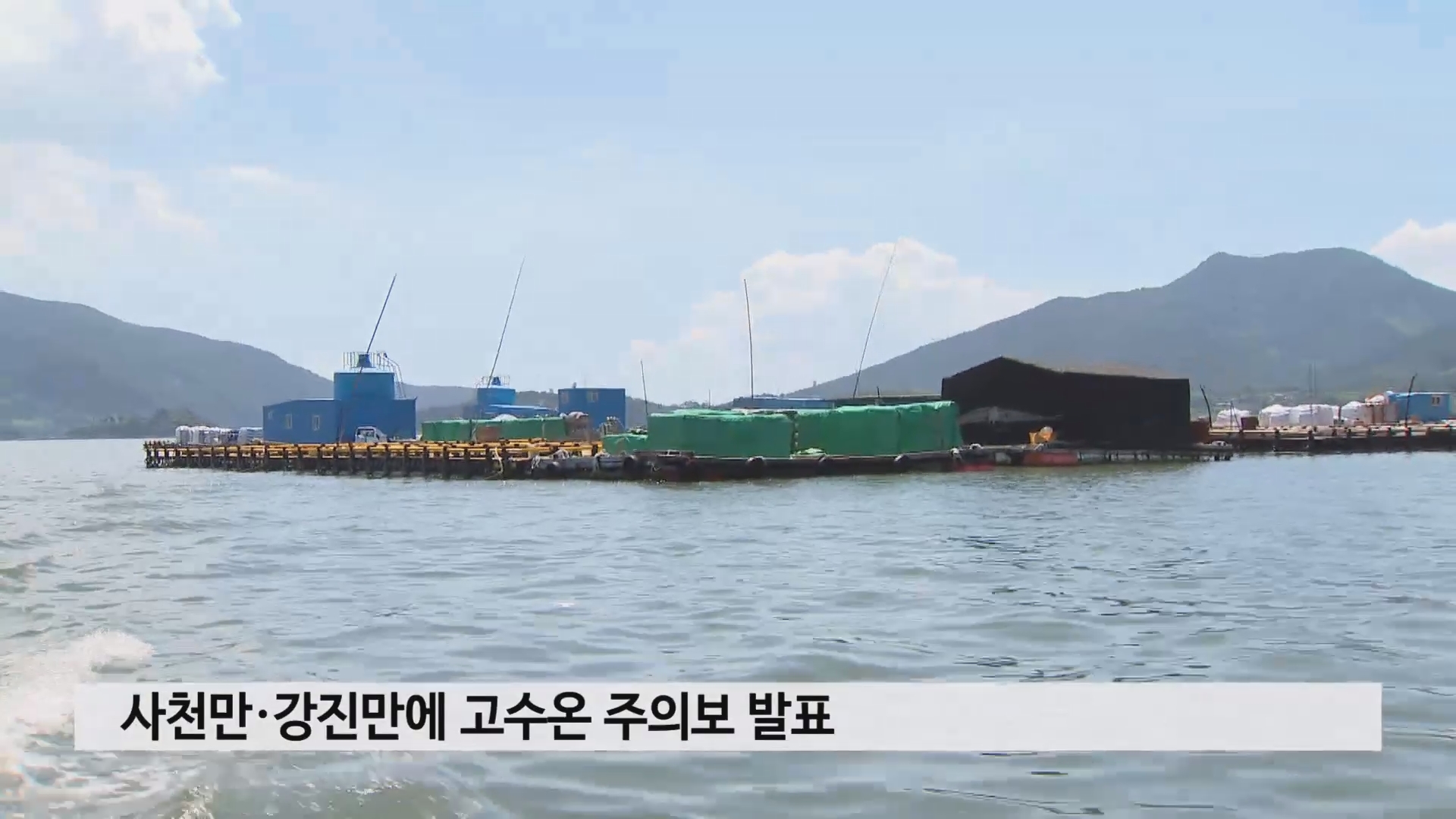 사천만·강진만에 고수온 주의보 발표 사진