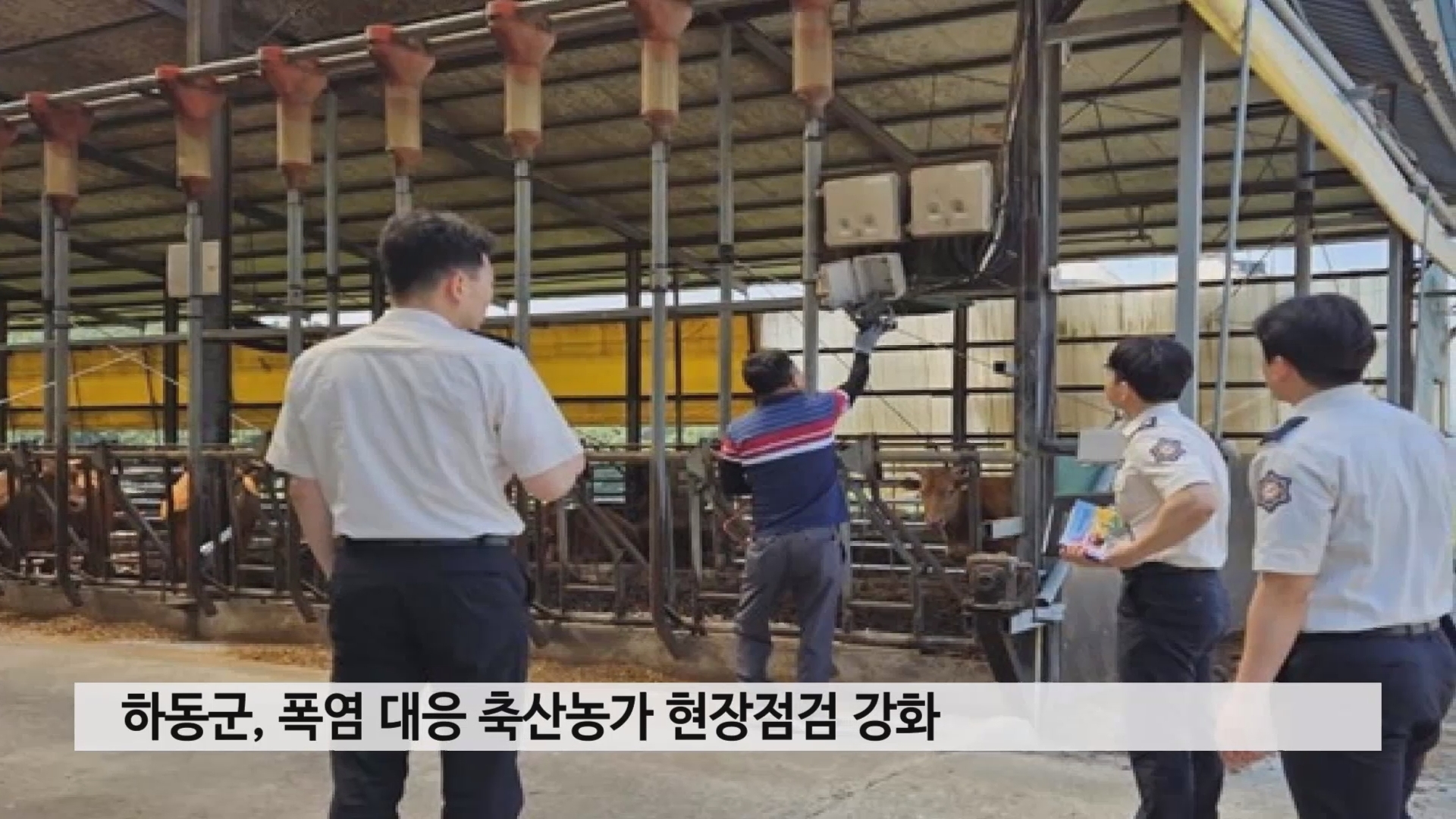 하동군, 폭염 대응 축산농가 현장점검 강화 사진