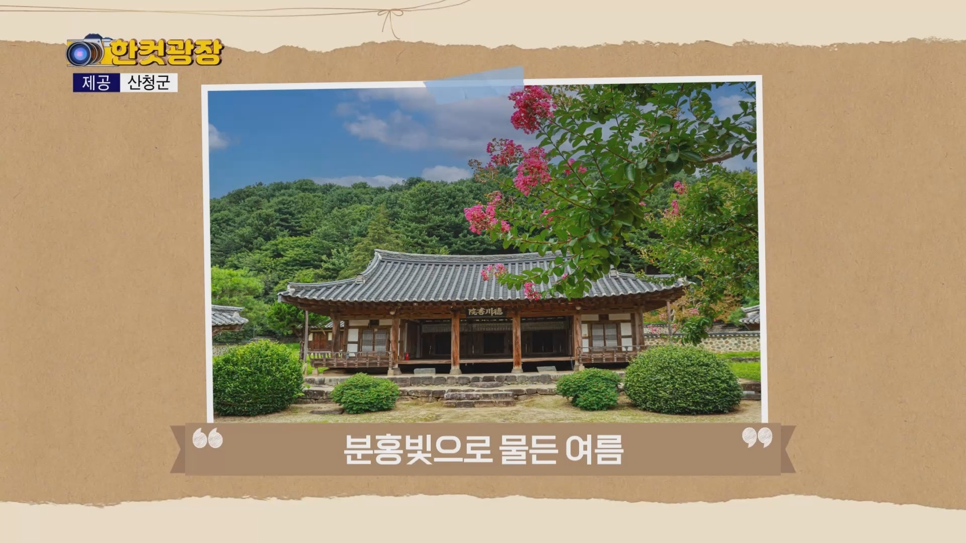 (섹션) 한컷광장 - 분홍빛 여름 한 장면 외 사진