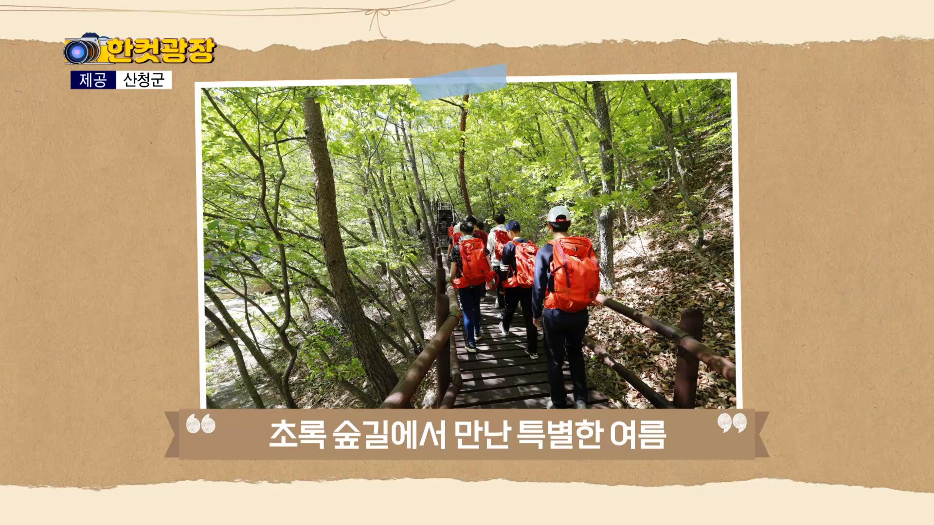 (섹션) 한컷광장 - 초록 숲길에서 만난 특별한 여름 외 사진