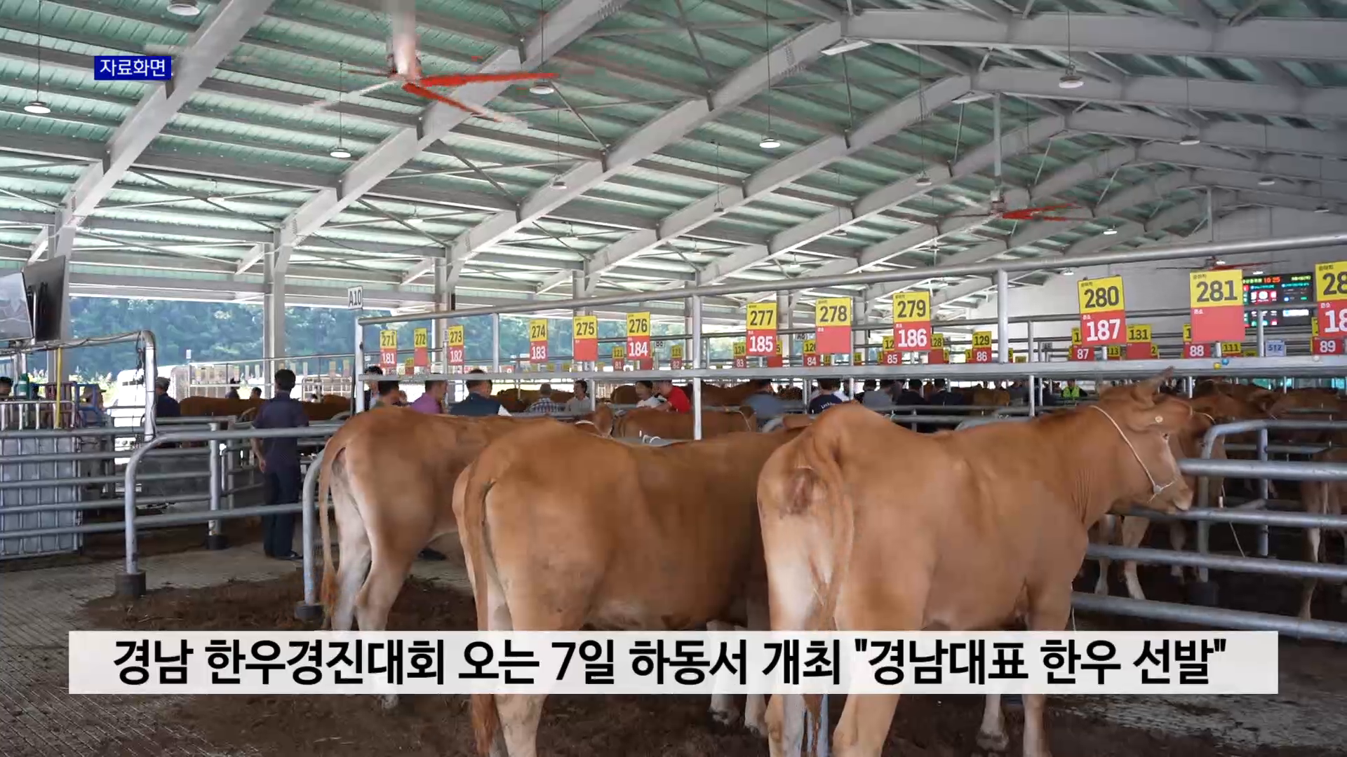 경남 한우경진대회 오는 7일 하동서 개최 