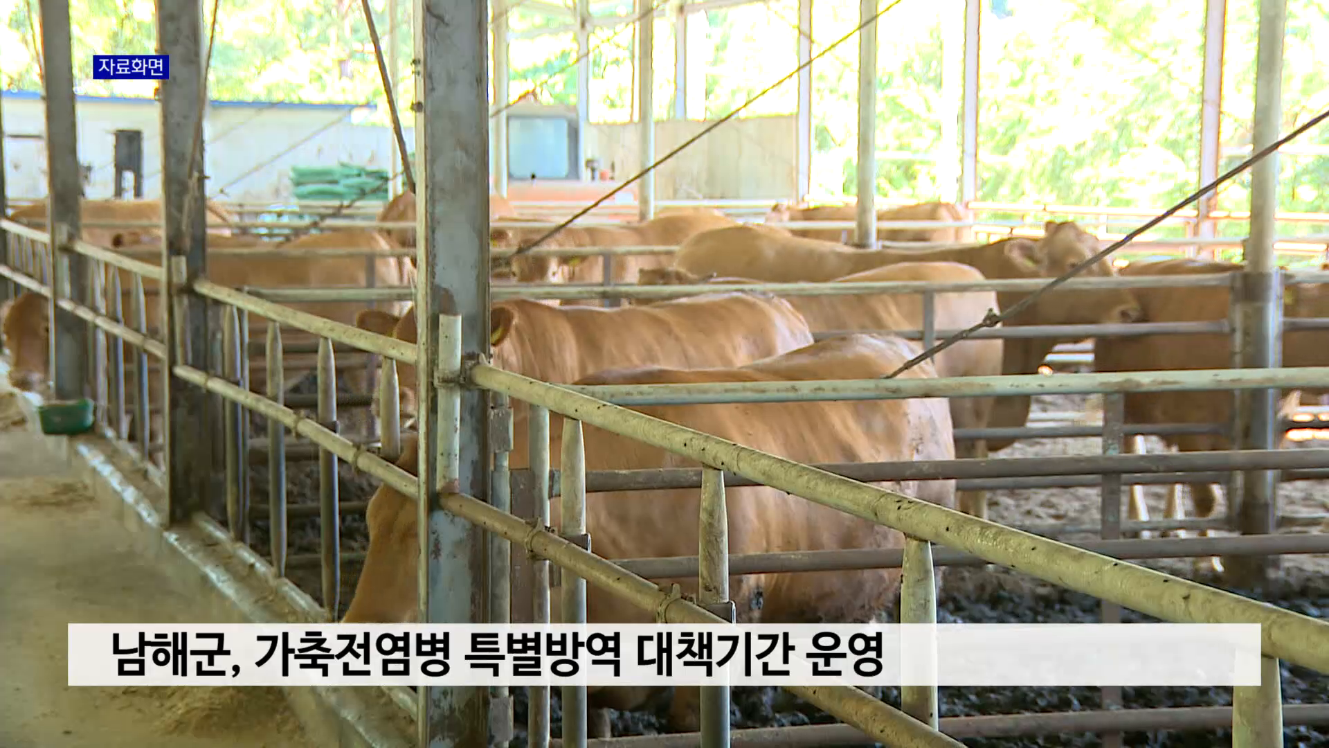 남해군, 가축전염병 특별방역 대책기간 운영 사진