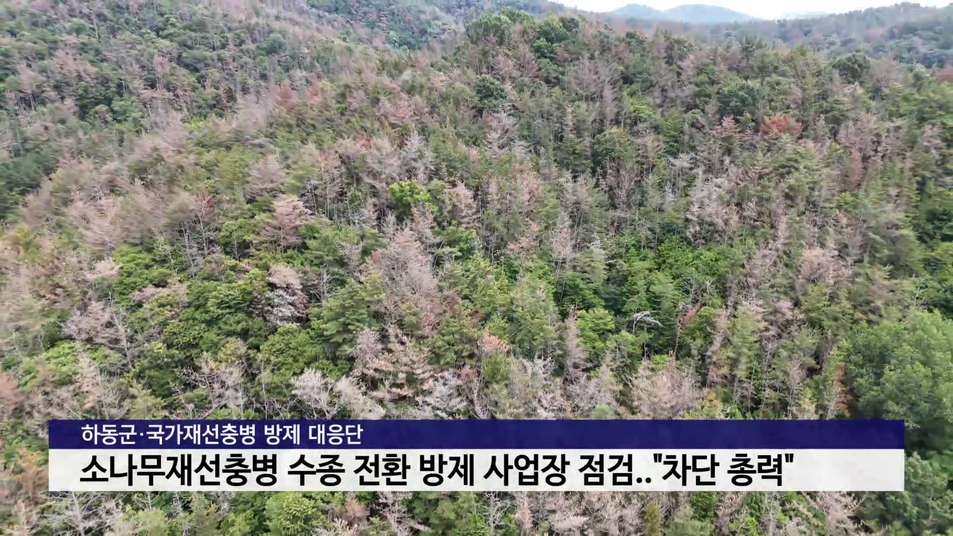 하동군·국가재선충병 방제 대응단, 소나무재선충병 수종 전환 방제 사업장 점검 사진