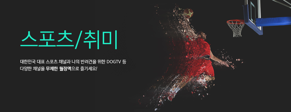 스포츠/취미